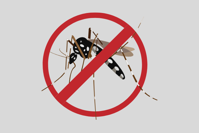 PL cria programa permanente para prevenção e combate do mosquito da Dengue